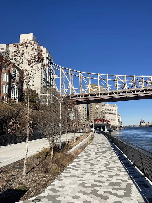 East River Greenway Picture 8