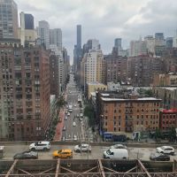 Honey Locust Park ico