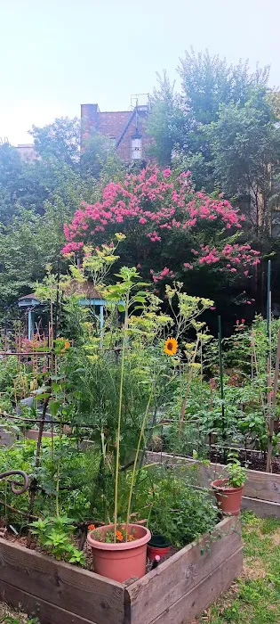 West 104th Street Garden Picture 1