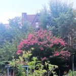 West 104th Street Garden