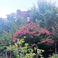 West 104th Street Garden ico