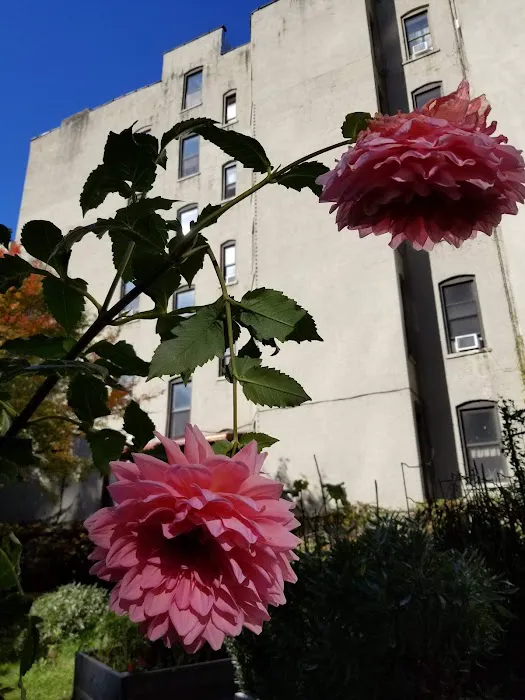 West 104th Street Garden Picture 6