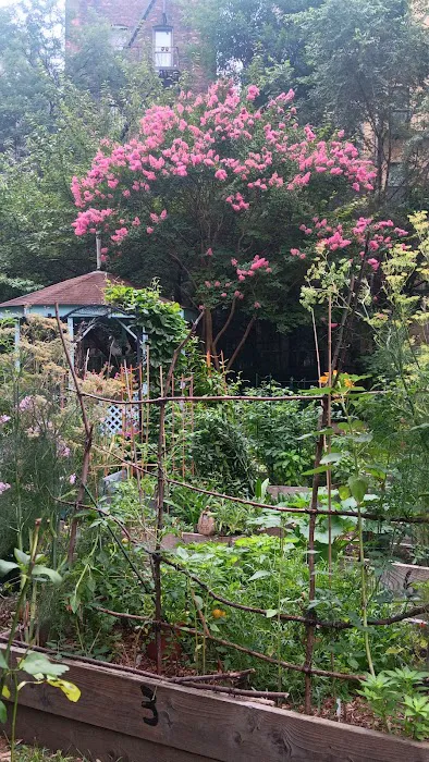West 104th Street Garden Picture 10