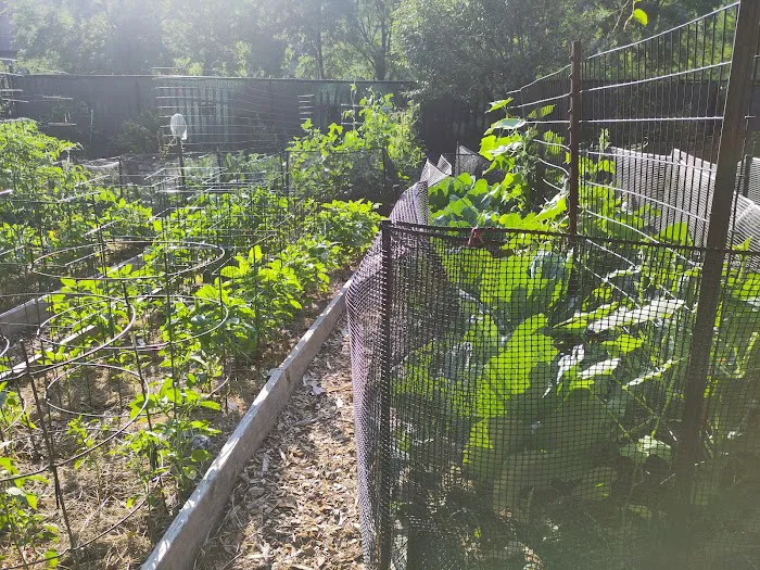 Riverside Valley Community Garden Picture 4