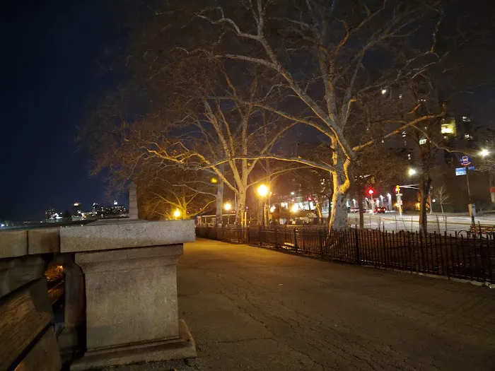 142nd Street Dog Run Picture 6