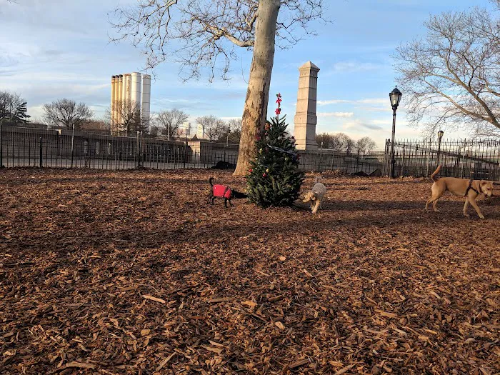 142nd Street Dog Run Picture 3