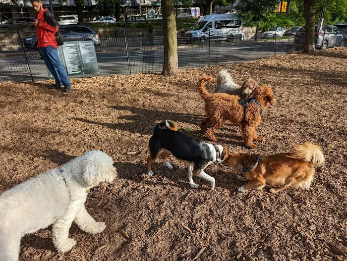 142nd Street Dog Run Picture 5
