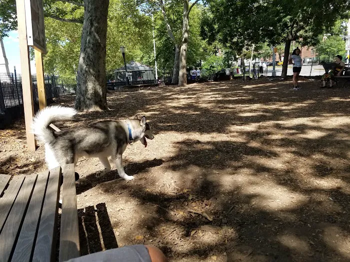 142nd Street Dog Run Picture 10