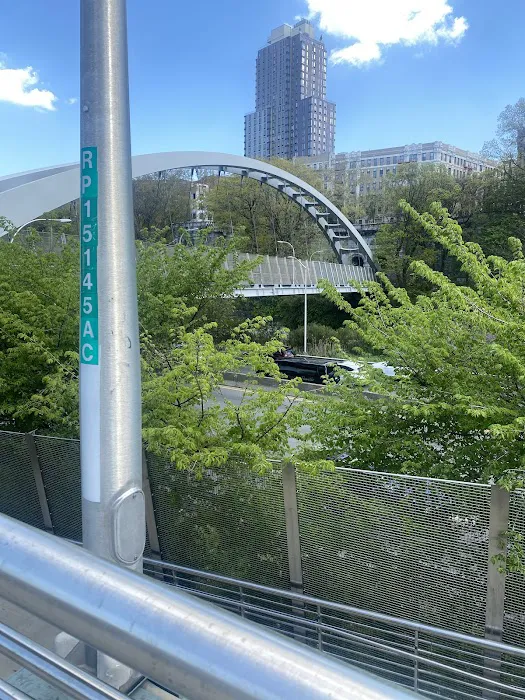 Ralph Ellison Plaza Picture 9