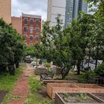 Clayton Williams Garden
