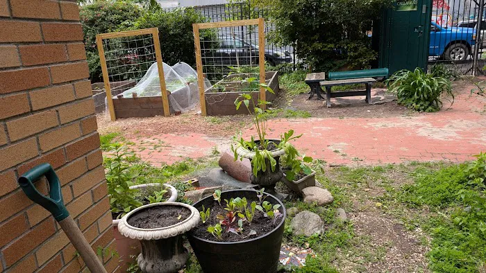 Clayton Williams Garden Picture 3