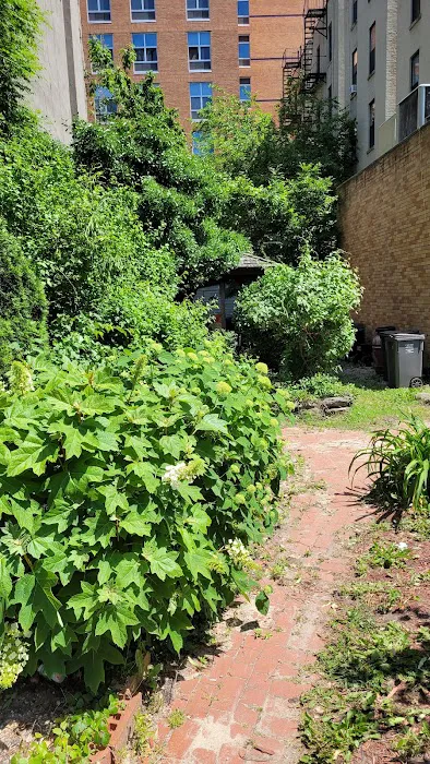 Clayton Williams Garden Picture 4