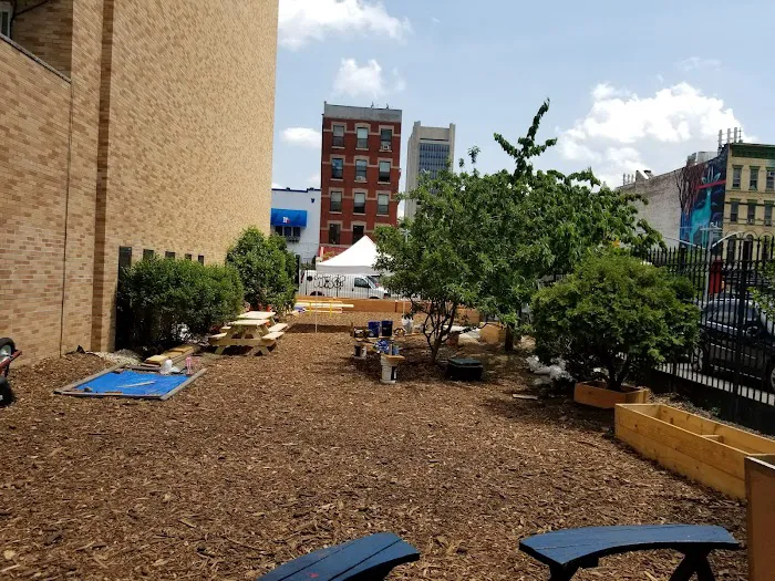 Clayton Williams Garden Picture 10