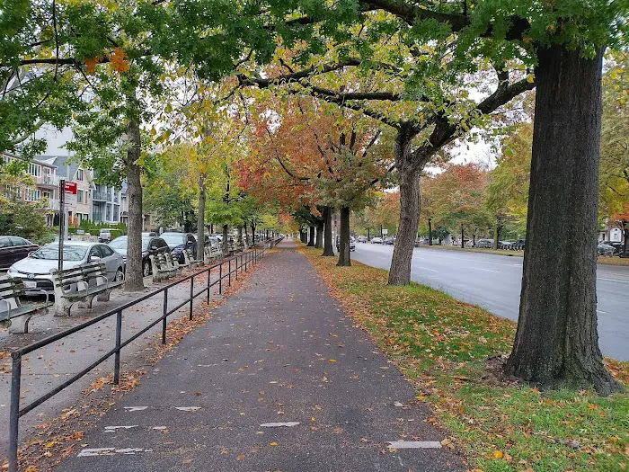 Ocean Parkway Malls Picture 1