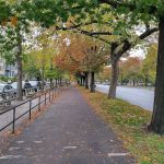Ocean Parkway Malls