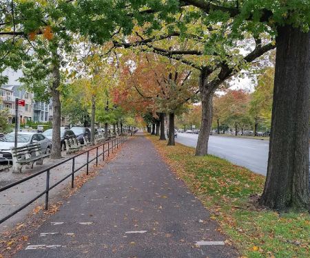 Ocean Parkway Malls