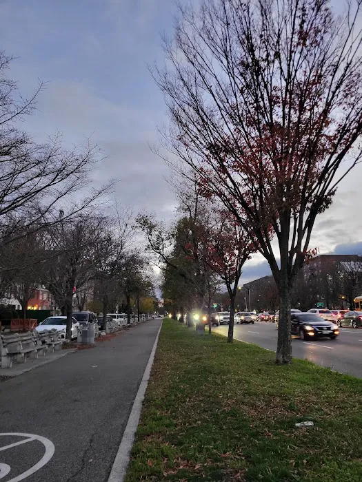 Ocean Parkway Malls Picture 8