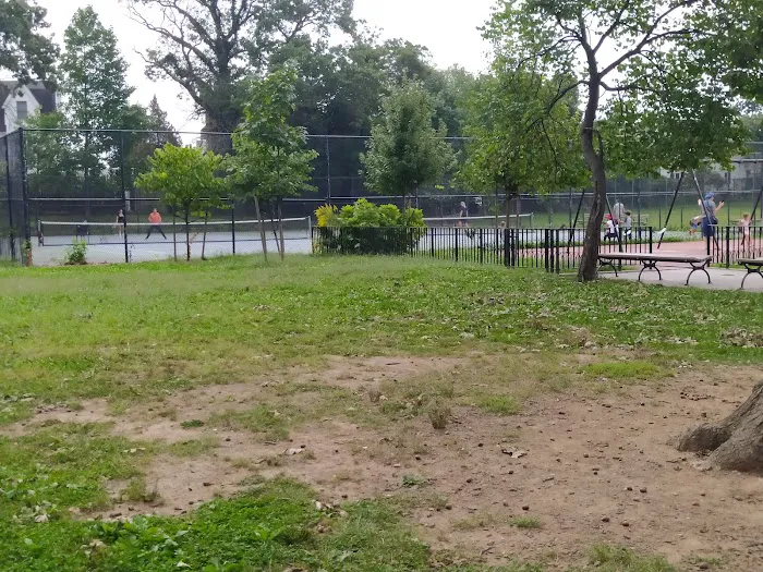 Friends Field Picture 6