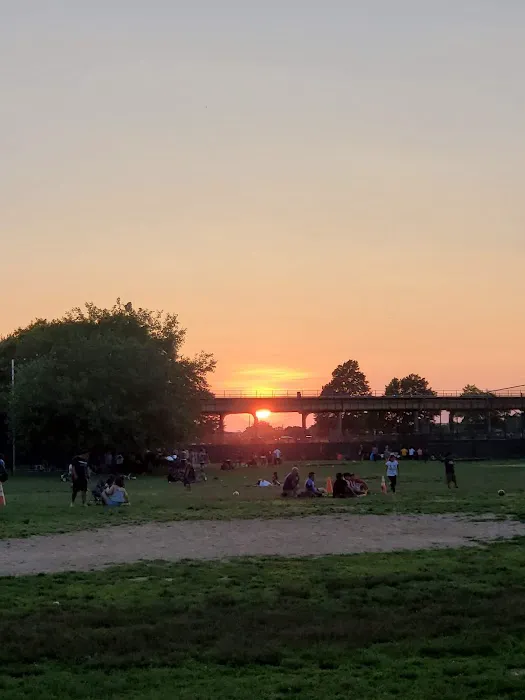 Friends Field Picture 9