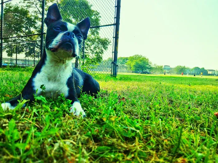 Friends Field Picture 8