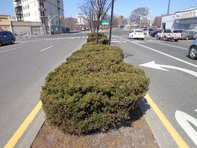 Guider Mall Picture 1