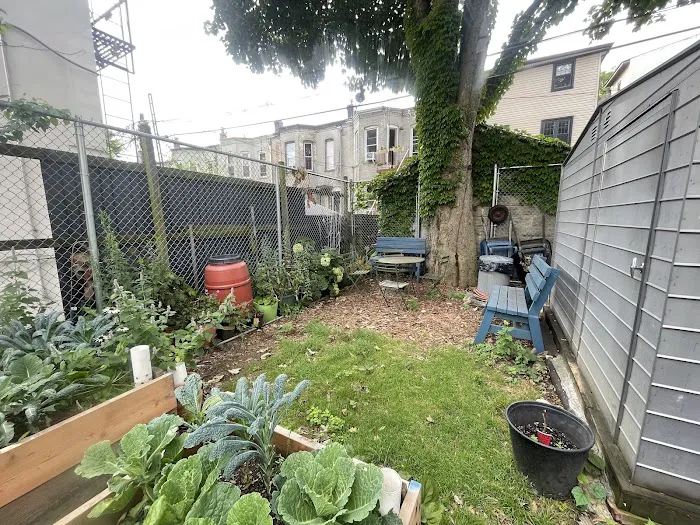 Lincoln Road Garden Picture 2
