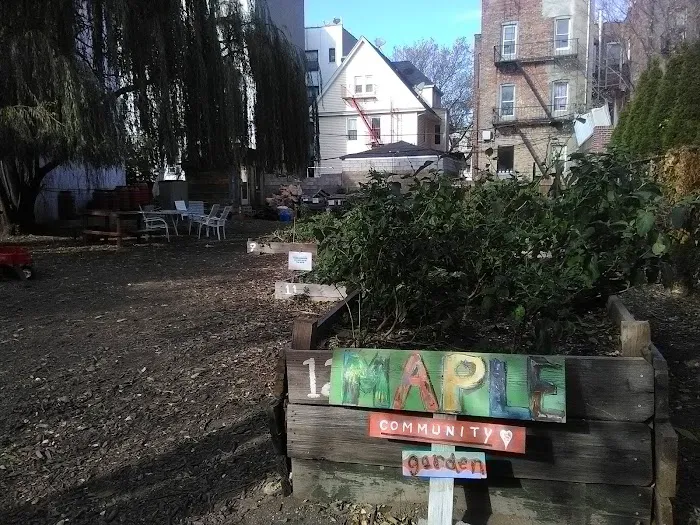 Maple Street Community Garden Picture 1