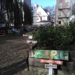 Maple Street Community Garden