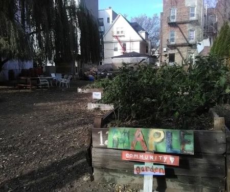 Maple Street Community Garden