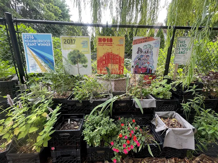 Maple Street Community Garden Picture 3