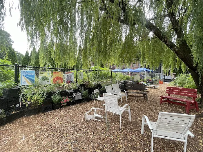 Maple Street Community Garden Picture 6
