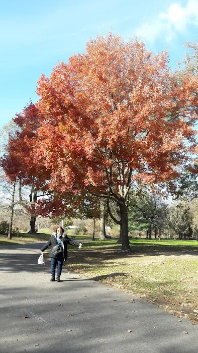 Drummer's Grove Picture 1
