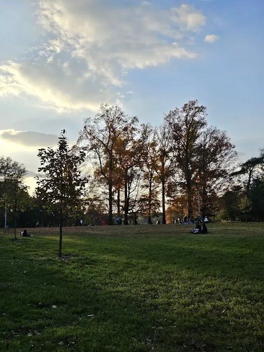 Drummer's Grove Picture 10