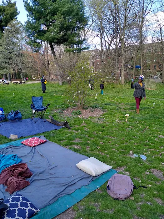 Drummer's Grove Picture 8