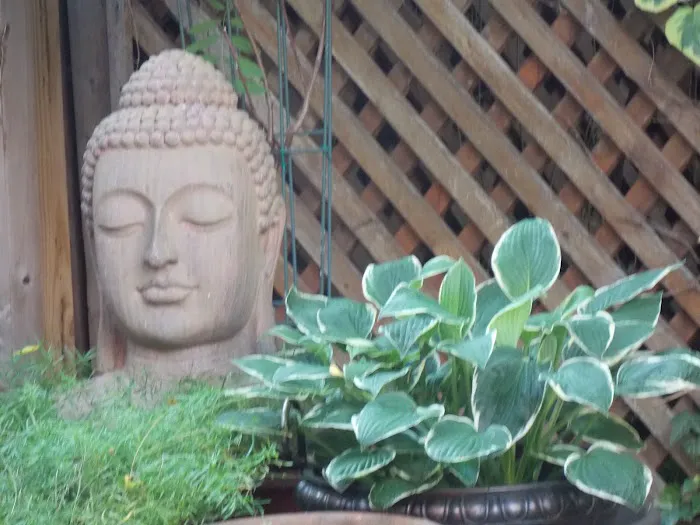 Serenity at Home Guest House Bed and Breakfast Picture 5