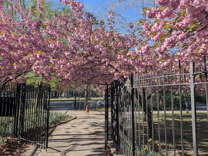 Brower Park Picture 3