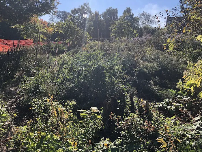 Monarch Butterfly Garden Picture 1