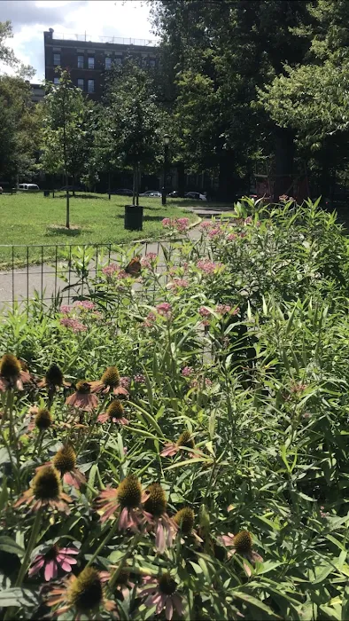 Monarch Butterfly Garden Picture 5