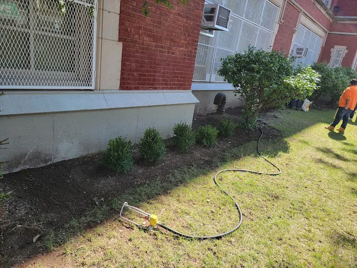 School Park Picture 1