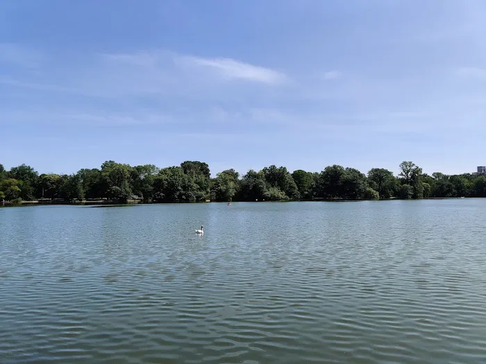 Prospect Park Wetland Picture 3