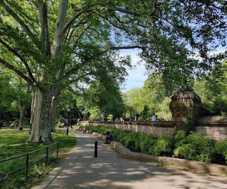 Prospect Park Wetland