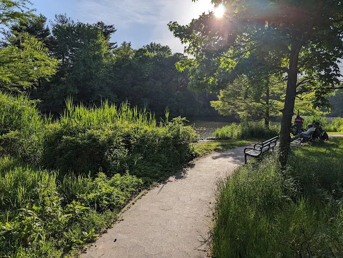 Prospect Park Wetland Picture 8