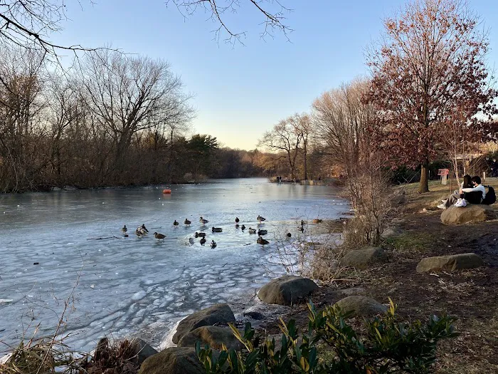 Prospect Park Wetland Picture 10