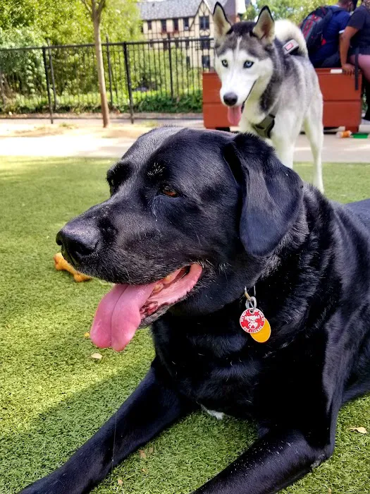 Kensington Dog Run Picture 8