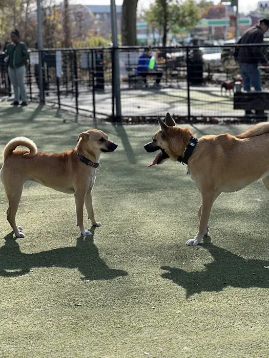 Kensington Dog Run Picture 7
