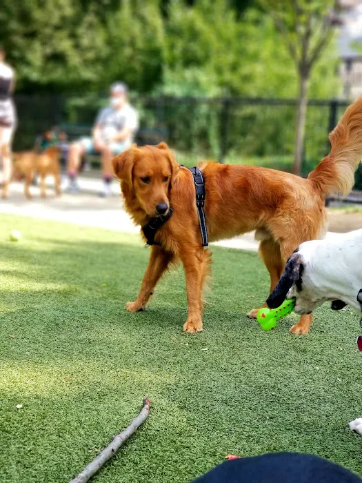 Kensington Dog Run Picture 5