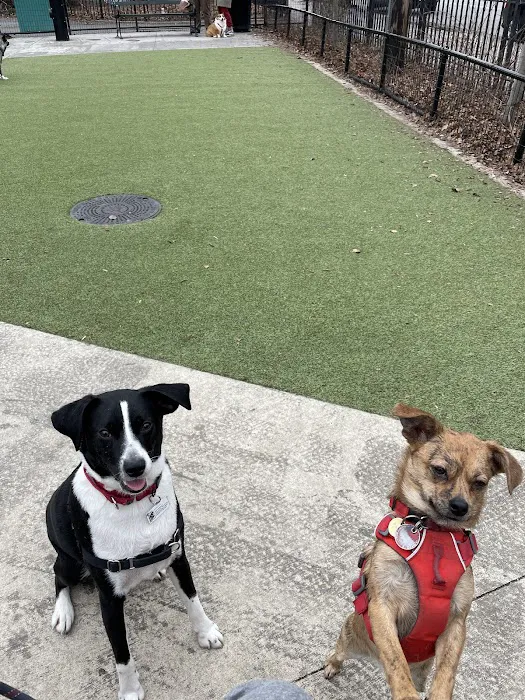 Kensington Dog Run Picture 9