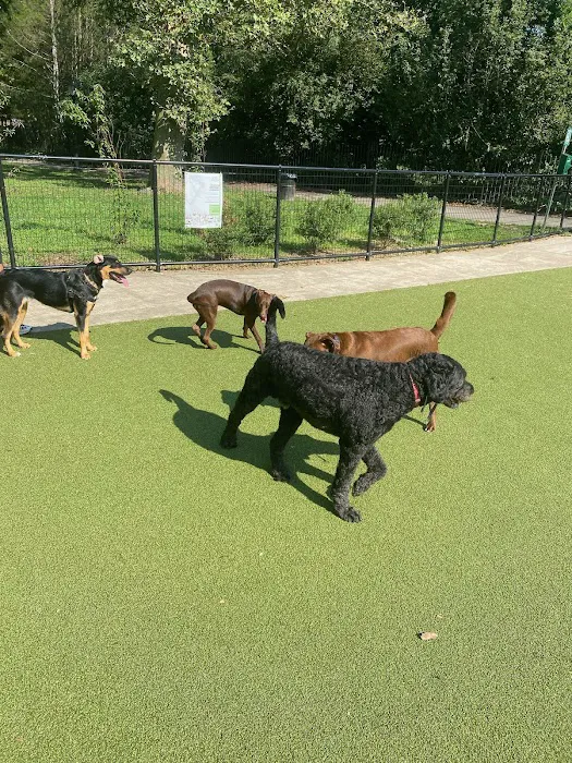 Kensington Dog Run Picture 10