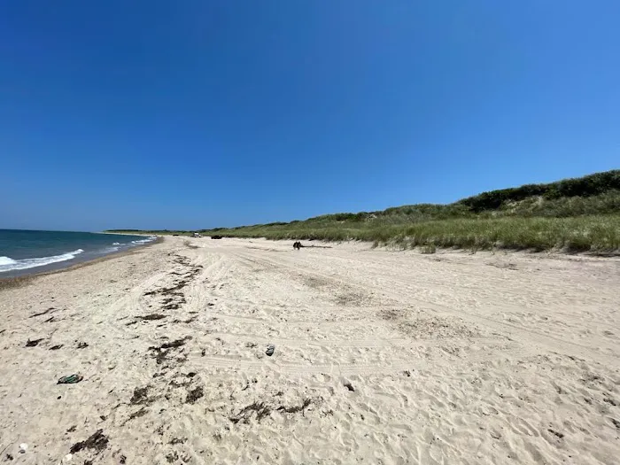 Montauk County Park Picture 4
