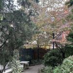 Rose Garden